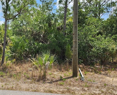 0 Inverness St unit MFRC7500522, North Port, FL 34288 - photo 2