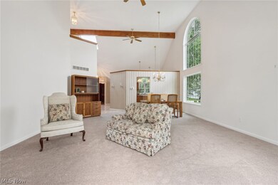 731 Grand View Ln, Aurora, OH 44202 - photo 6