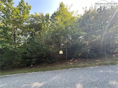 Lot 36E Cascade Run, Purlear, NC 28665 - photo 3