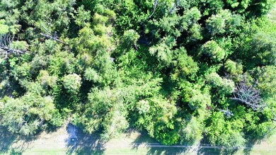 199 Cougar Way, Rotonda West, FL 33947 - photo 4