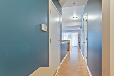 2088 Limestone Ln unit 12, Carpentersville, IL 60110 - photo 5