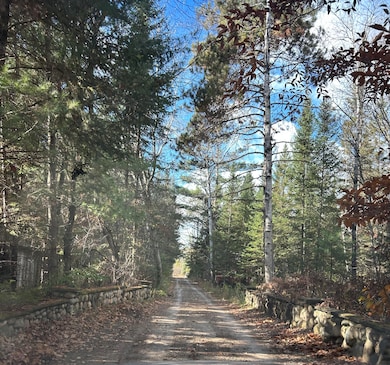 14721 Trowbridge Rd, Wolverine, MI 49799 - photo 7