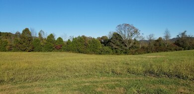 823 Smokey Rd, Rutledge, TN 37861 - photo 3