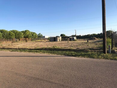 314 Rancho Viejo Dr, Socorro, TX 79927 - photo 3