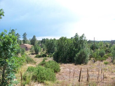 Apache Trail  Homesite?