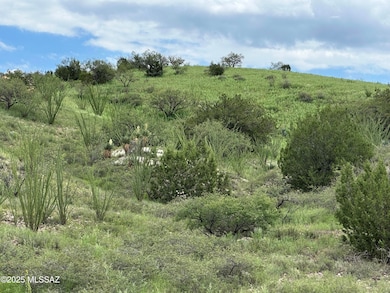 00 Proctor Ln unit D-3, Patagonia, AZ 85624 - photo 6