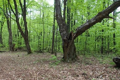 0000 Kipling Trace, Hartford, VT 05059 - photo 3