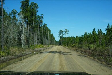 Mt Pleasant road is very quiet lined with trees an