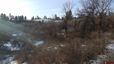 W Durango Ridge Rd, Durango, CO 81301 - photo 7