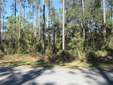Your Spectacular Future New Build Home Setting!!..One Acre (.99) Located In Rainbow Lakes Estates Just Minutes From Dunnellon's Town Square Built Around The Famous Rainbow and Withlacoochee Rivers!!
