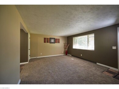 Large living room with new carpet and fresh paint.