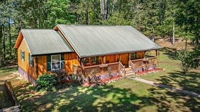 134 Ebenezer Rd, Ellijay, GA 30536 - photo 3