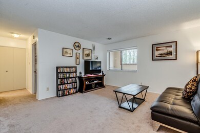 451 Yucca Court-6