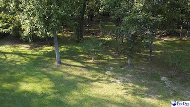 0 State Road S-21-869, Florence, SC 29501 - photo 2