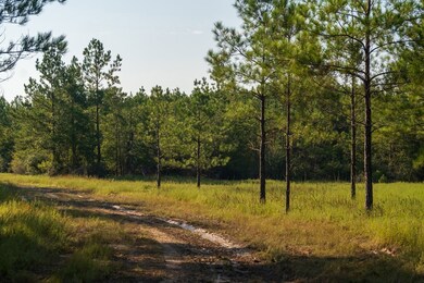 107540 County Road 037, Jasper, TX 75951 - photo 3