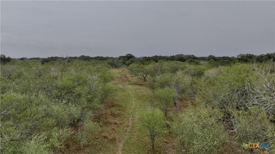 000 Coletoville Rd, Victoria, TX 77905 - photo 5