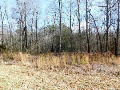 Lot 4 Furnace Rd, Lincolnton, NC 28092 - photo 6