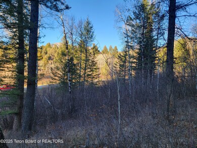 L13B2 Cutthroat Run, Irwin, ID 83428 - photo 3