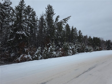 0 Liesch Rd, Trego, WI 54888 - photo 4