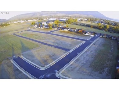 10808 Carrie Way, Island City, OR 97850 - photo 7