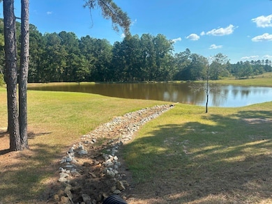 1000 Millen Hiltonia Rd, Hiltonia, GA 30467 - photo 4