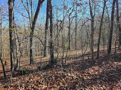 L11,B5 Wasatch Trail, Cherokee Village, AR 72529 - photo 2