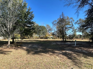 816 N Broad St, Cowarts, AL 36321 - photo 6