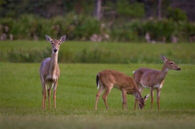 Say Hello to some of your new neighbors!