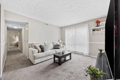 Living area featuring a textured ceiling and carpet