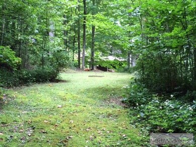 566 Grandfather Farms Rd, Banner Elk, NC 28604 - photo 6