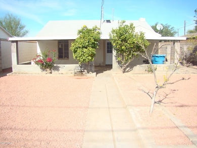 Back yard