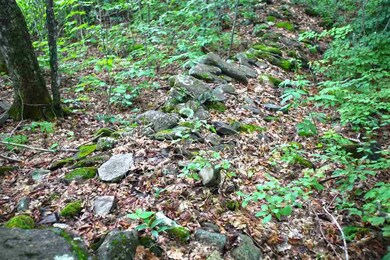 910 Maple Ln, West Danville, VT 05873 - photo 5