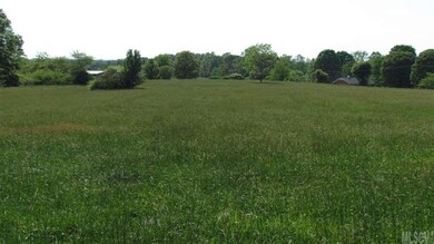 Open Grass Field