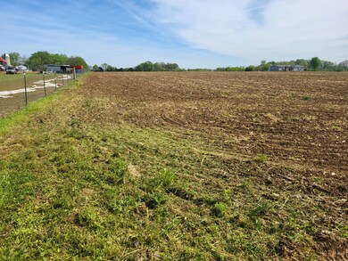 0 Jake Link Rd, Cottontown, TN 37048 - photo 2