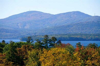 10 London Hill Rd unit 1, Moultonborough, NH 03254 - photo 3