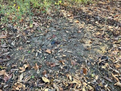 0 Wilson Rd unit 25-2328, Pheba, MS 39755 - photo 7