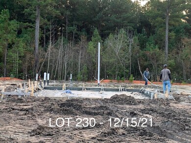 1036 Mackerel Manor, New Bern, NC 28562 - photo 3