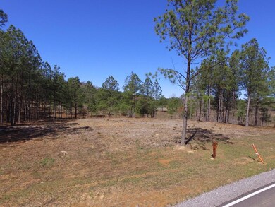 2275 River Bluffs Dr, Jasper, TN 37347 - photo 3