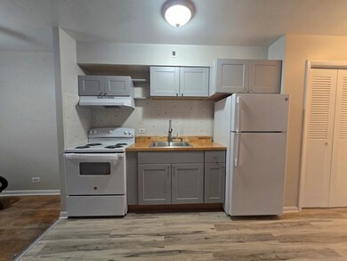 7201 W Wellington Ave unit 3G, Elmwood Park, IL 60707 - photo 3