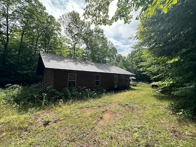 6136 Co Rd 413, McMillan, MI 49853 - photo 5