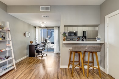 4020 Holland Ave unit 203, Dallas, TX 75219 - photo 4