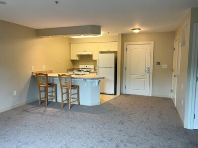 501 Commerce Dr unit 4206, Braintree, MA 02184 - photo 3