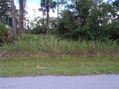 View of undeveloped land