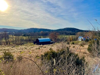 231 Highway 1003, Somerset, KY 42501 - photo 6