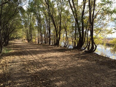 1013 Silverline Dr unit Lot 13, Marquette, NE 68854 - photo 6