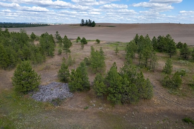 35430 Prairie Ln N unit Lot 3, Creston, WA 99117 - photo 7