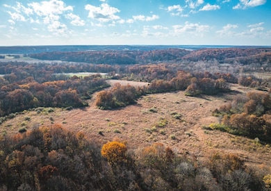 Tbd Sw 875 St, Jerseyville, IL 62052 - photo 6