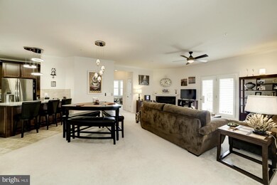24636 Woolly Mammoth Terrace unit 306, Aldie, VA 20105 - photo 4