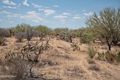 14943 W Parkin Ln, Three Points, AZ 85736 - photo 4