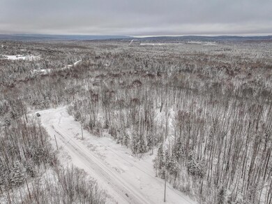 DJI_20240127123315_0499_D